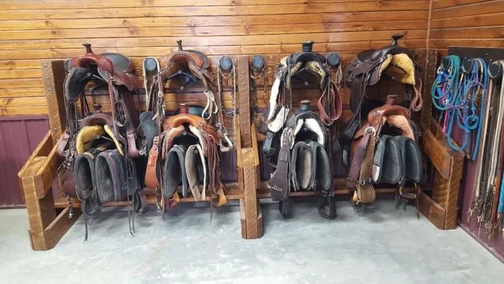 Horse Accessories